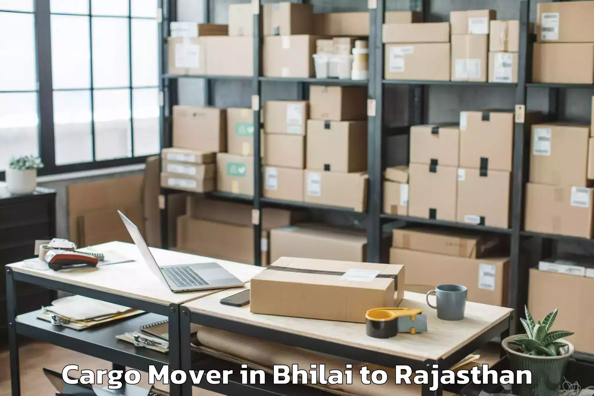 Hassle-Free Bhilai to Udaipurwati Cargo Mover